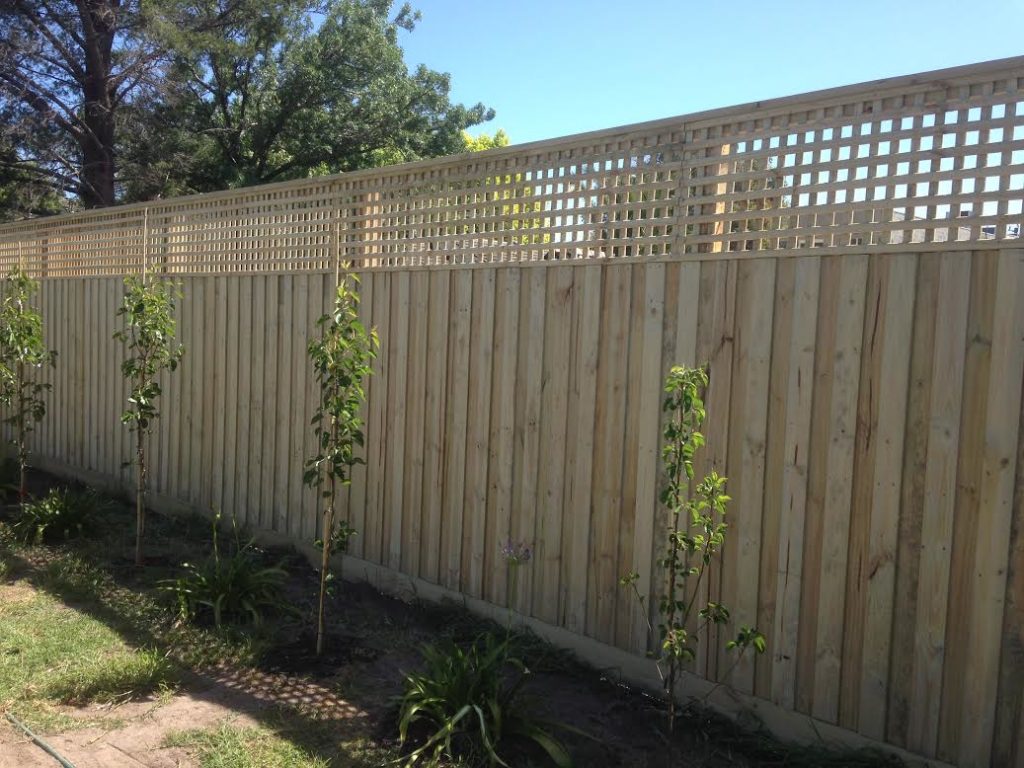 Timber Fencing Treated Pine Paling Eastside Fencing